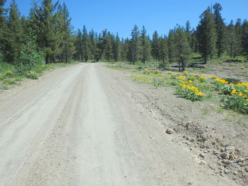 GDMBR: We're now traveling on a clay base road.